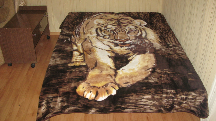 Фото квартиры 2