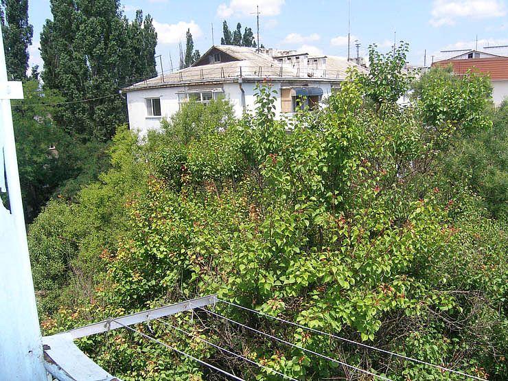 Фото квартиры 8