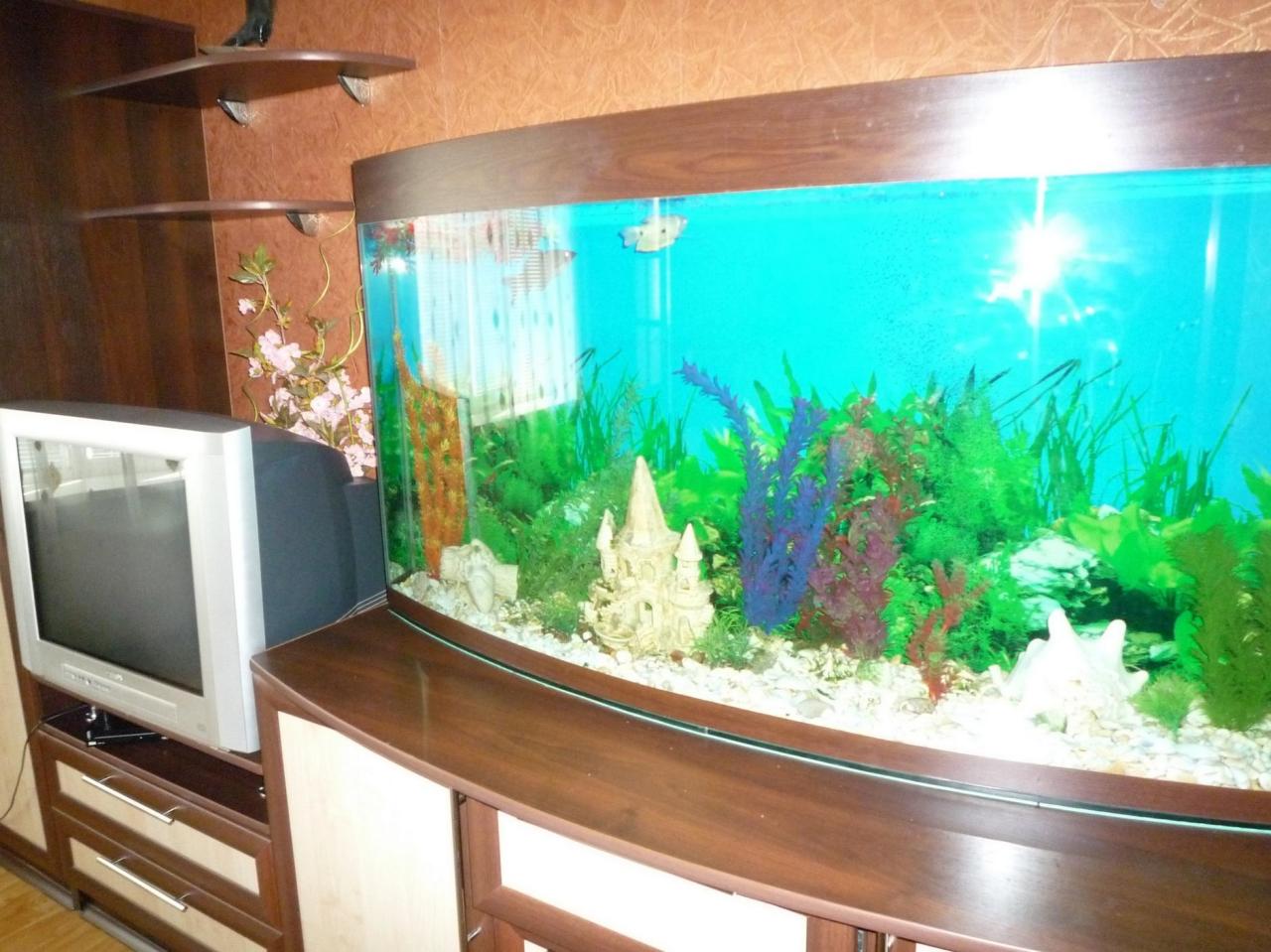 Фото квартиры 2