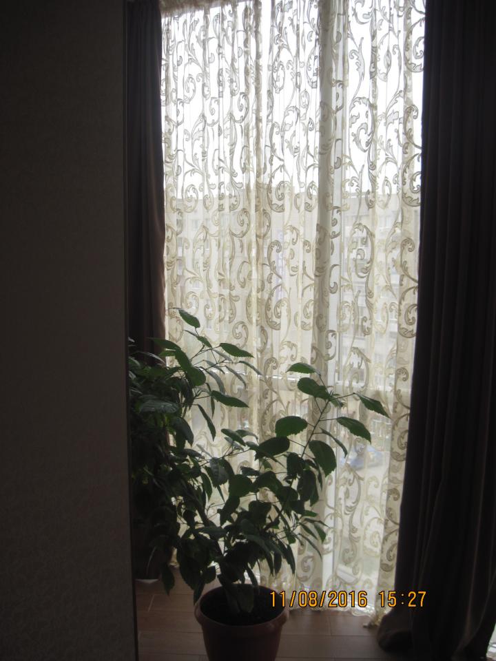 Фото квартиры 3