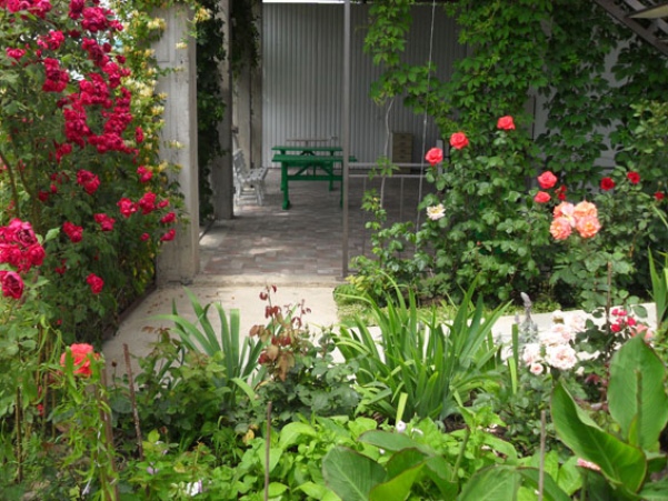 Фото квартиры 7