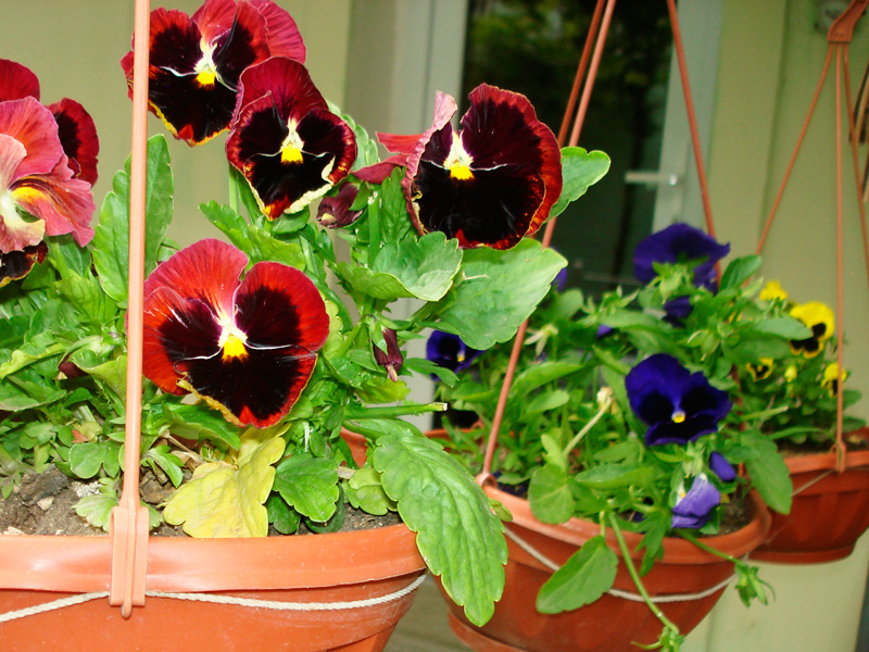 Фото квартиры 10