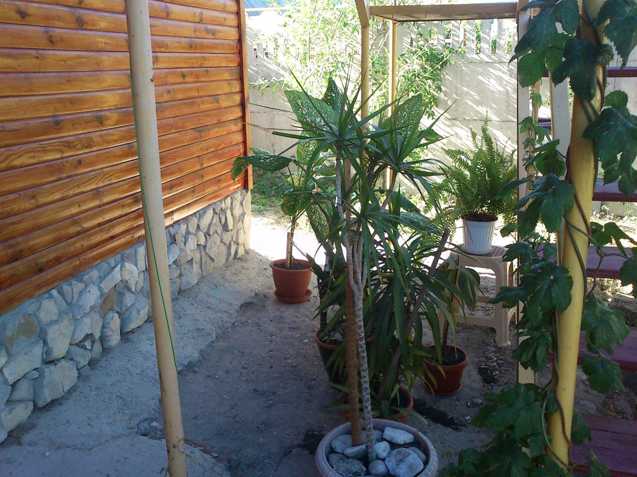 Фото квартиры 9