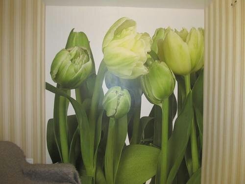 Фото квартиры 6