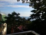 пос.Гаспра, Алупкинское шоссе 40, квартира посуточно