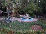 пос.Гаспра, Алупкинское шоссе 40, квартира посуточно